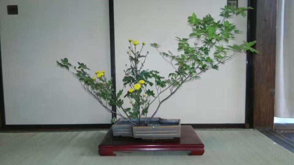 Guest House 鎌倉記憶 Kamakura Exterior photo
